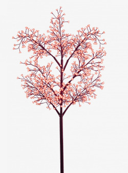 植物 叶子 树叶 鲜花 绿叶 装饰 卡通 彩铅 小清新 插画3PNG素材植物鲜花素材