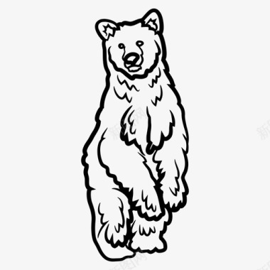 哺乳动物灵熊动物哺乳动物图标