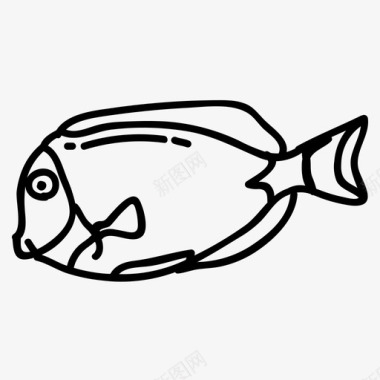 矢量鱼鱼水生动物海洋图标