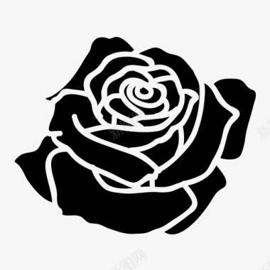 玫瑰玫瑰盛开花朵图标