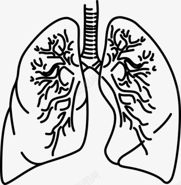 人体肾脏肺身体健康图标