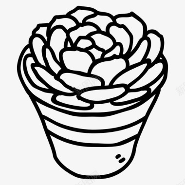 棘球蚴仙人掌植物图标