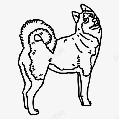 哈士奇狗西伯利亚哈士奇动物狗图标