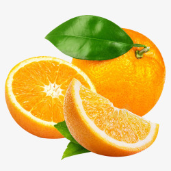 橙子S水果素材