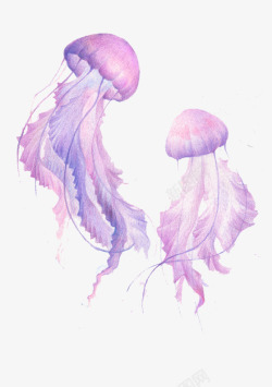 手绘浅紫色梦幻荧光生物水母素材