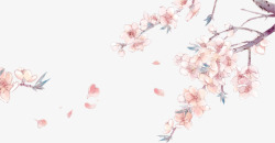 樱花树樱花节春天手绘装饰免扣素材