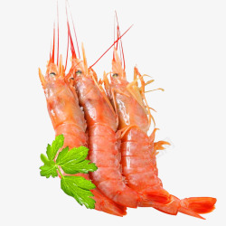 熟冻虾H海鲜水产鱼类素材