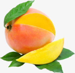 芒果生鲜水果蔬菜素材