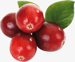 蔓越莓千人学习QQ群2314619小文透明悬浮素材