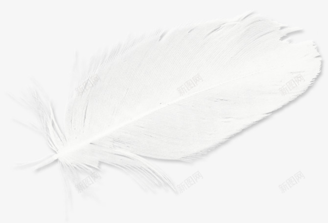 矢量图透明装饰圣诞情人节春节新年过年五一八一元旦节日庆祝氛围气球蝴蝶结礼盒节日开心黑色黑色纹理场景暗黑风格调逼格纹理抽象底纹质感唯美场景树木路装饰叶子云都市建筑植物花朵活动欧美装饰金属云朵红包礼盒礼物png免抠素材_88icon https://88icon.com 装饰 节日 场景 纹理 黑色 礼盒 质感 唯美 树木路 叶子 矢量图