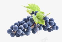 葡萄2生鲜水果蔬菜素材