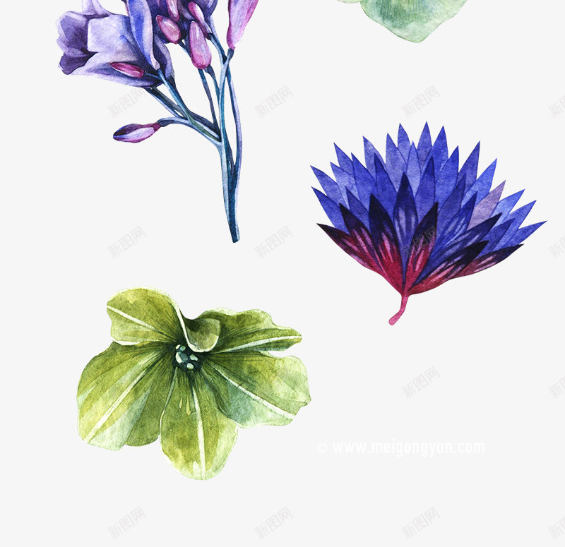 免扣花透明小花草植物免扣png免抠素材_88icon https://88icon.com 免扣 小艺 植物 花草 透明