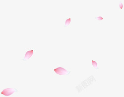 粉色花瓣5花花儿素材