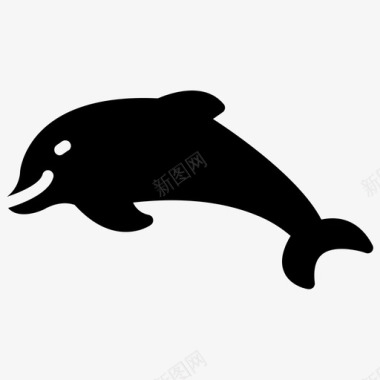 鲸鱼海豚鲨鱼图标