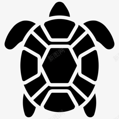 海龟海洋生物海洋世界图标