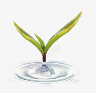 发芽嫩芽发芽种子发芽绿色发芽小草发芽嫩芽发芽发芽动态发芽小树成长小树生长树叶绿叶生长浇灌长大土壤发芽植物发芽树枝发芽春天绿色春天小草树苗种子发芽春天发芽绿色发芽小草发芽的发芽草柳树发芽希望的发芽发芽种png免抠素材_88icon https://88icon.com 发芽 嫩芽 小树 小草 小草生长过程图 希望 春天 柳树 树枝 生长 种子 绿色