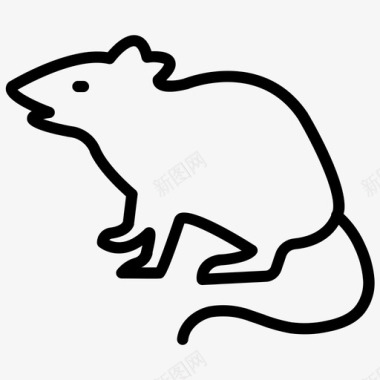 老鼠老鼠动物图标