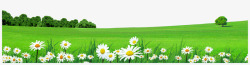 草坪草地草原小草环保树木绿色草丛摄影后期查看来源浏览大图1595397像素草地素材
