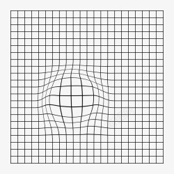 FWSHAPE77收集杂素材