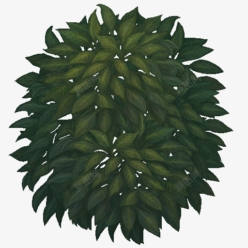 S1JungleSmallTree02TextureP各种物品png免抠素材_88icon https://88icon.com 各种 物品