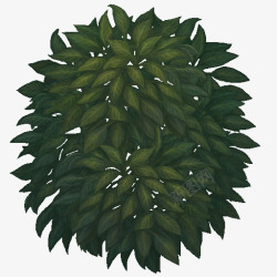 S1JungleSmallTree02TextureP各种物品素材