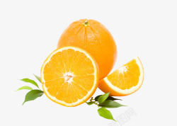 橙子美食美图白底素材