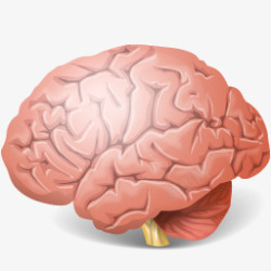 大脑图标常用小图标素材