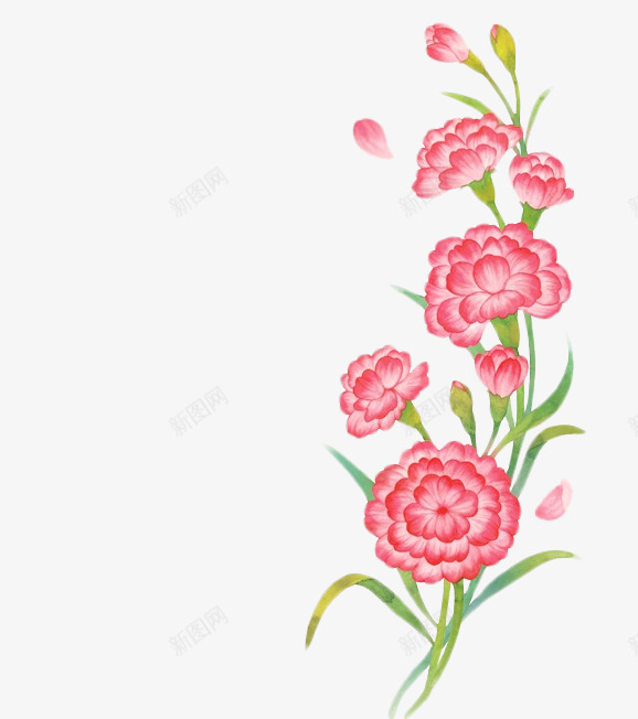 康乃馨母亲节感恩节51插画母亲节父亲教师节png免抠素材_88icon https://88icon.com 母亲节 康乃馨 感恩节 插画 父亲 教师节