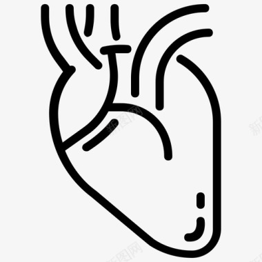 解剖学心脏解剖学医学图标