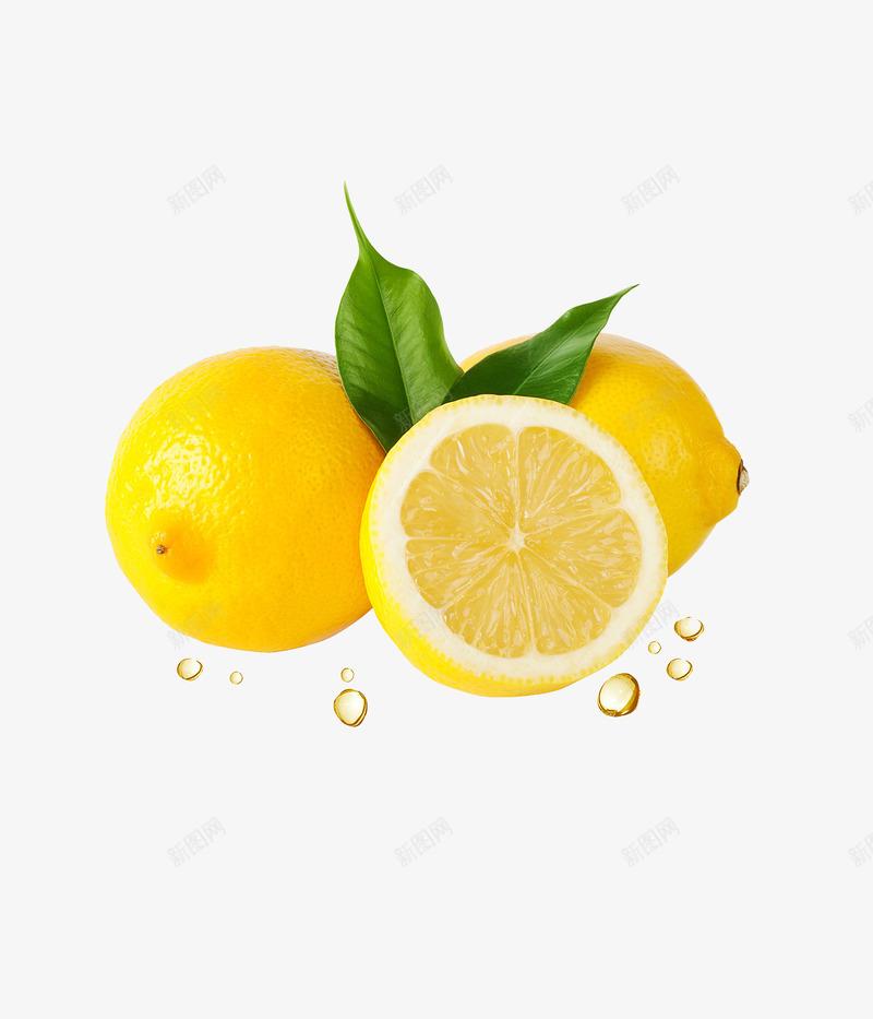 Lemon动植物png免抠素材_88icon https://88icon.com 动植物