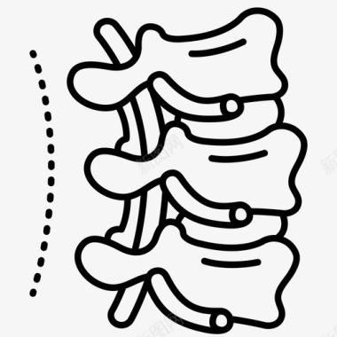 医疗系列标识脊柱解剖学骨骼图标