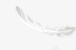 手绘白色柔软的天使羽毛素材