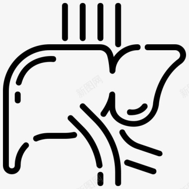 解剖学肝脏解剖学保健学图标