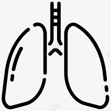 解剖学肺解剖学医学图标