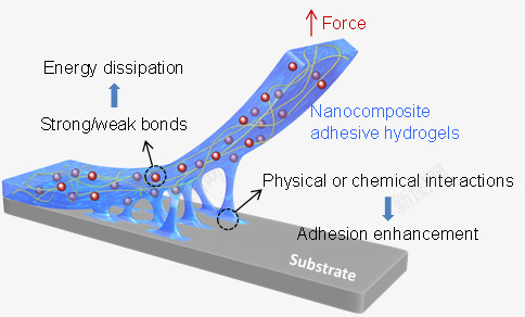 纳米复合胶粘水凝胶在基底上的强粘附示意图技术前沿png免抠素材_88icon https://88icon.com 纳米 复合 胶粘 凝胶 基底 底上 粘附 示意图 技术前沿
