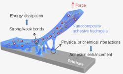 纳米复合胶粘水凝胶在基底上的强粘附示意图技术前沿素材