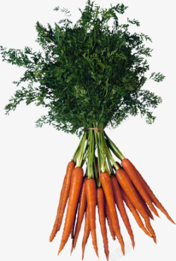 免扣蔬菜胡萝卜ABC输入法杂物素材