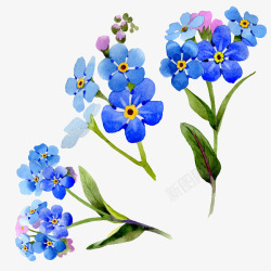 手绘蓝色小花花卉透明植物素材