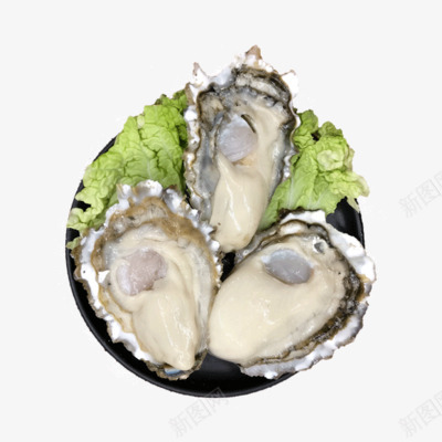 一盘海鲜生蚝png免抠素材_88icon https://88icon.com 海鲜 生蚝 食材