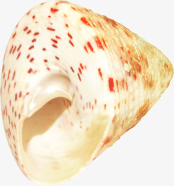 海螺漂浮物光素材