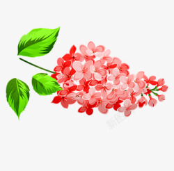 粉红色的花 红色 花的 浪漫 爱 花园 春 植物 自然 盛开单品素材