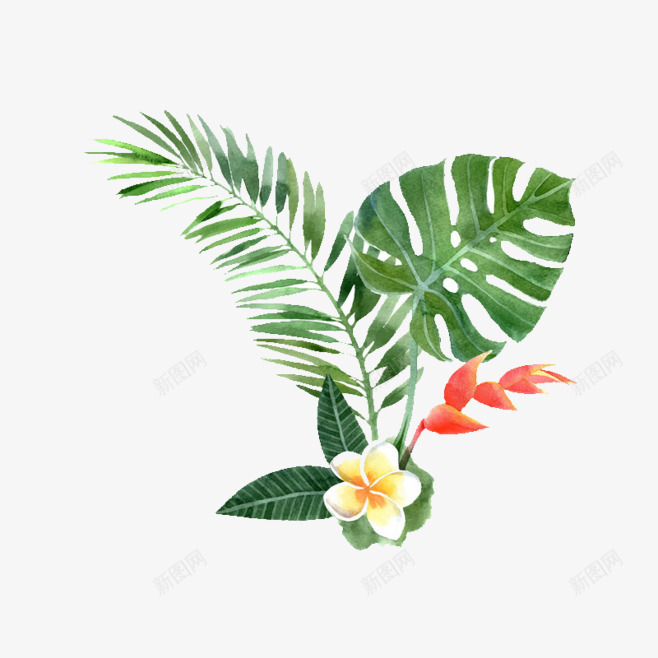 手绘彩绘植物绿叶花朵北坤人  植物花草png免抠素材_88icon https://88icon.com 坤人 彩绘 手绘 植物 灬北 绿叶 花朵 花草