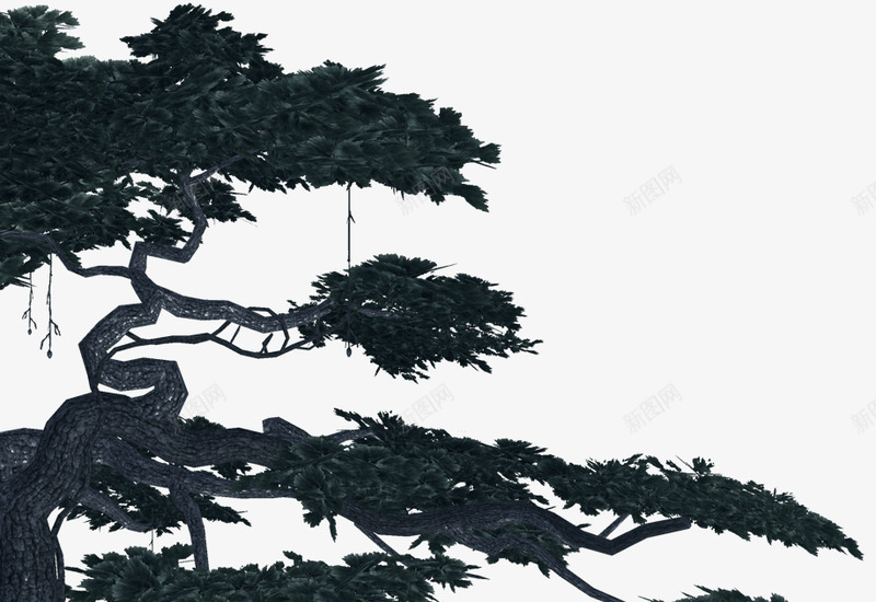 苍松剪影Z植物png免抠素材_88icon https://88icon.com 苍松 剪影 植物