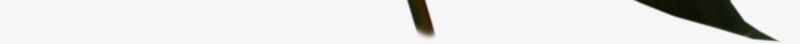 1200x1500px超大120MB玫瑰花图标 玫瑰叶图标 13个 rose icons  国外网站设计欣赏 FOREIGN WEB DESIGN  国外设计欣赏网站  DOOOORcom png免抠素材_88icon https://88icon.com 图标 国外 网站 设计欣赏 超大 玫瑰花 玫瑰 叶图标