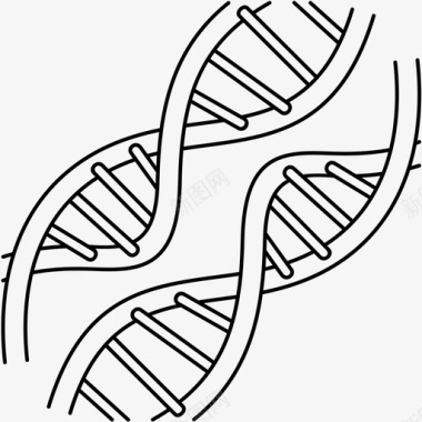 分子生物学人类基因组遗传物质遗传学图标