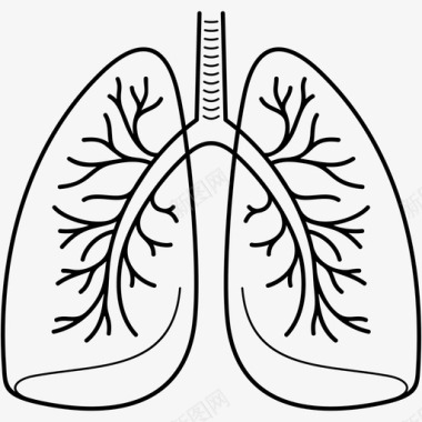 病毒肺图解剖学肺部感染图标