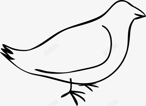 五一鸽子鸟动物涂鸦图标