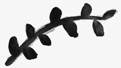 Branch 13水彩水墨透明水墨植物圆滚滚偷懒时用的Liquid Gold水彩素材