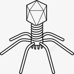 菌体噬菌体病毒细菌间谍高清图片