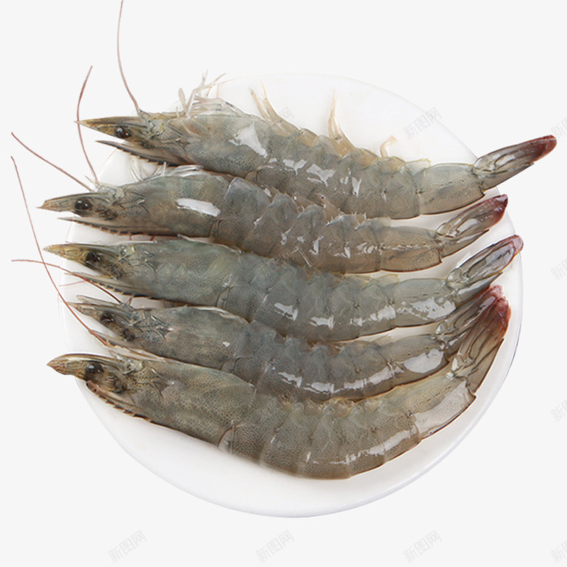 大虾鲜活超大海鲜水产活虾基围虾速冻冻虾非青岛对虾海虾鲜虾特大tmallcom天猫产品png免抠素材_88icon https://88icon.com 大虾 天猫 特大 鲜虾 海虾 对虾 青岛 冻虾 鲜活 速冻 基围